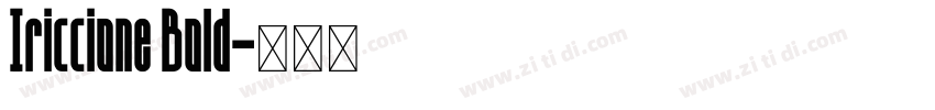 Iriccione Bold字体转换